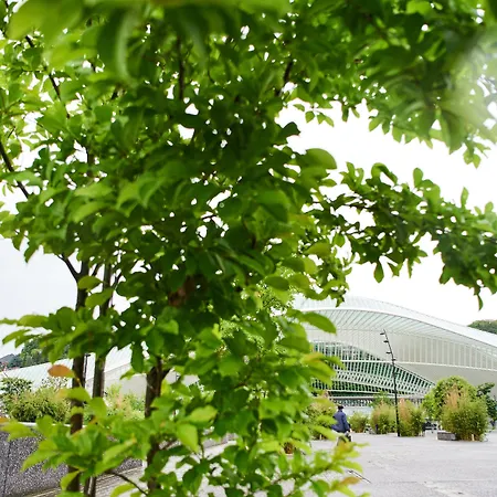 Hotell De La Couronne Liège