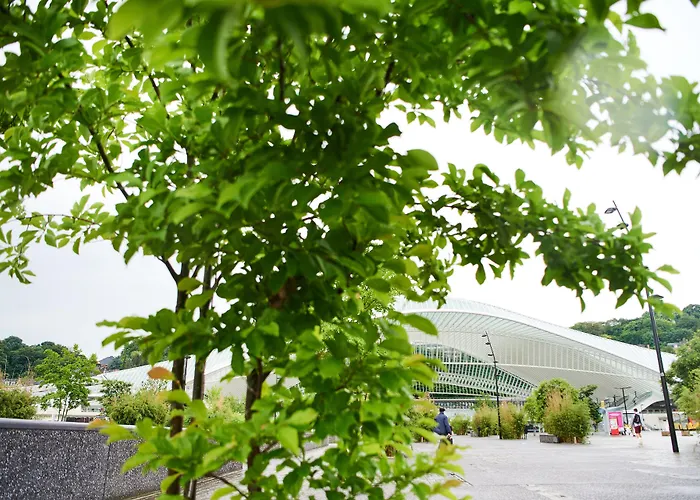 Hotel De La Couronne Liège